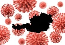 Hantavirus în România: 1 caz confirmat în 2026. Care este riscul real?