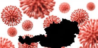 Hantavirus în România: 1 caz confirmat în 2026. Care este riscul real?