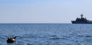 Atac fără precedent în apele Bulgariei: Două nave lovite de drone, una s-a scufundat în Marea Neagră