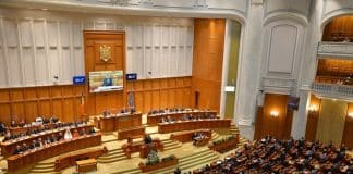 Parlamentul României, plin de doctori. Ce domenii au aprofundat aleșii din Senat și Camera Deputaților