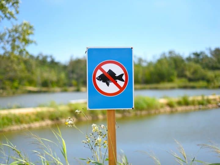 prohibiția-pescuitului