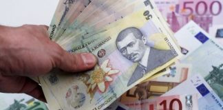 Criza politică / BNR intervine pentru a preveni prăbușirea monedei naționale leul euro