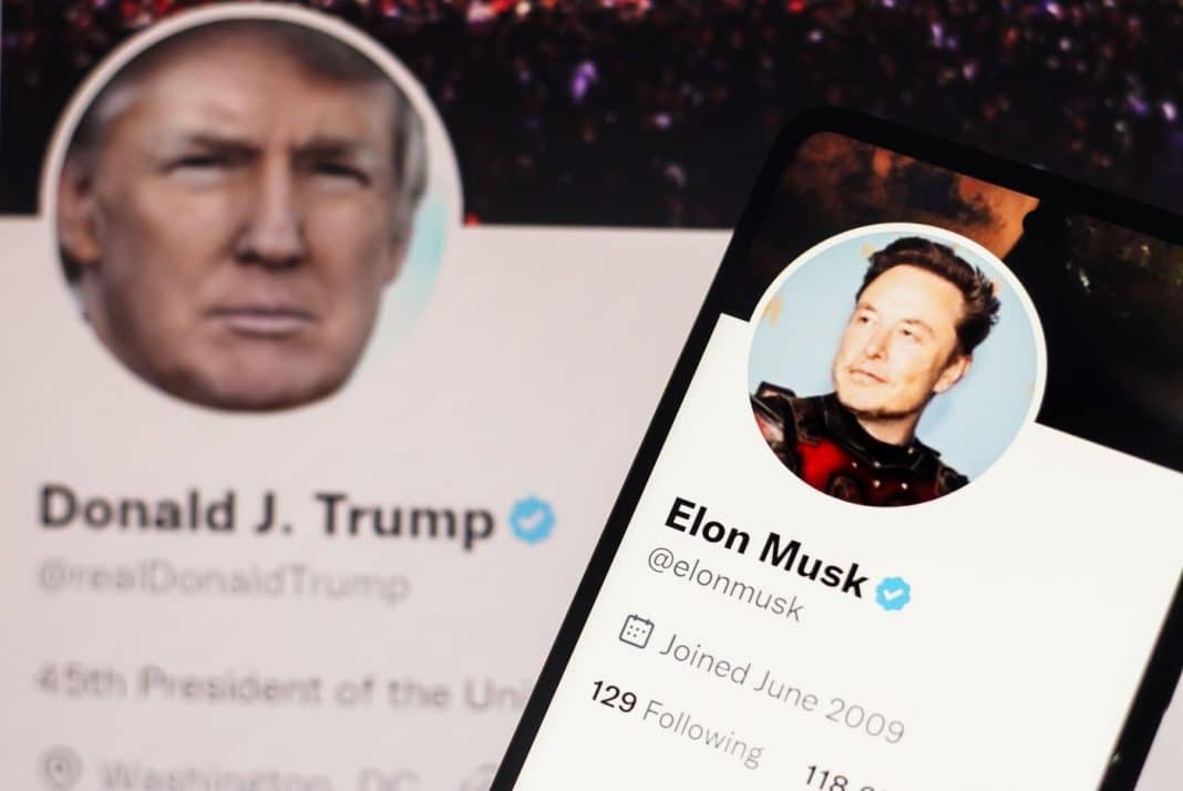 Elon
