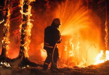 Situație critică în Grecia: Peste 280 de oameni arestați pentru provocarea incendiilor devastatoare