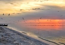 Scandal ecologic în Marea Neagră: Pată de poluare de 45 km² detectată din satelit în zona Neptun Deep
