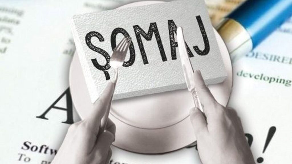 UE Eurostat angajați absolvenți