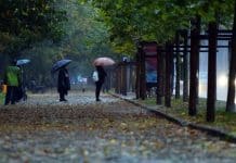 ANM a emis Cod galben de ploi torențiale și vijelii. Harta județelor afectate meteo