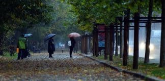 ANM a emis Cod galben de ploi torențiale și vijelii. Harta județelor afectate meteo