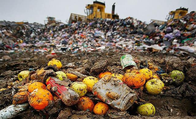 Semnal de alarmă Salubrizare 5