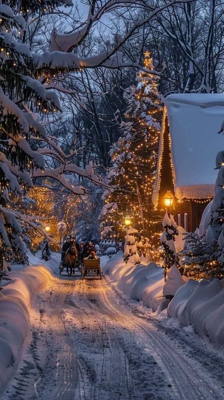 Craciun, Bucovina