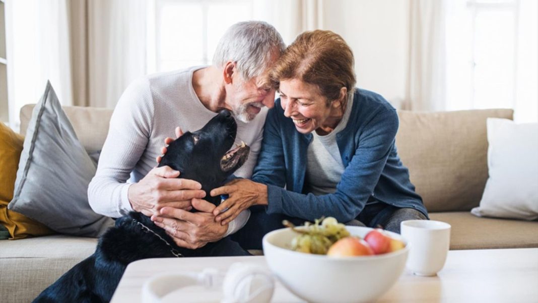 Pilonul 2 oncologice