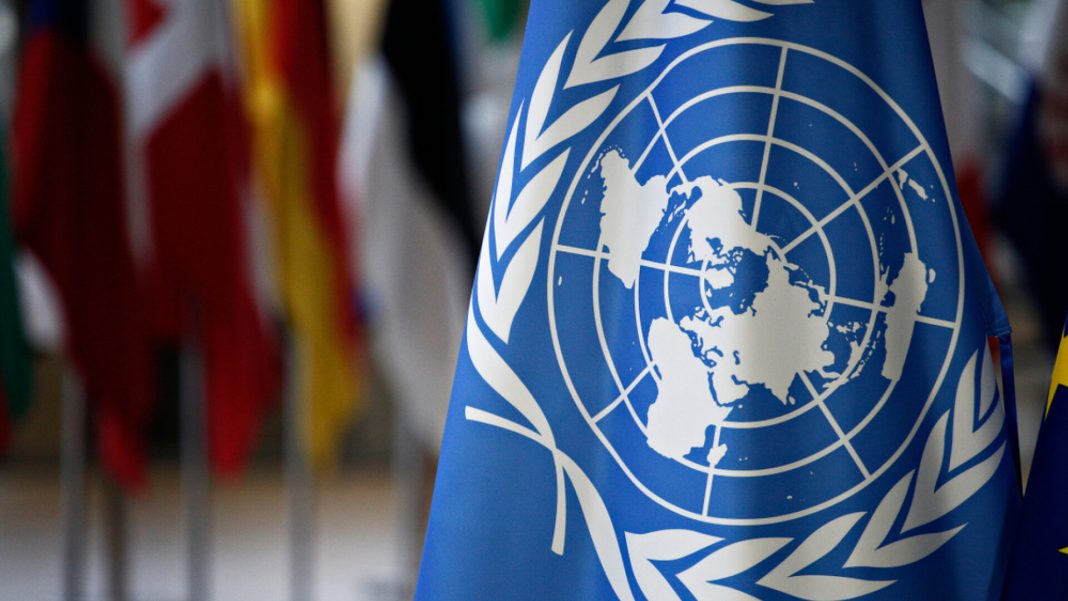 ONU Drepturile Omului abuzuri