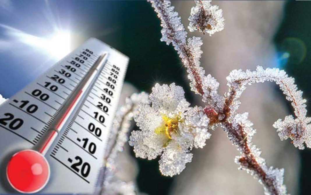 prognoză Cpitală ANM