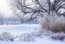 Fenomenul istoric „Super El Niño” va dicta iarna 2026-2027. Ce se întâmplă cu ninsorile în Europa și România?