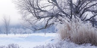 Fenomenul istoric „Super El Niño” va dicta iarna 2026-2027. Ce se întâmplă cu ninsorile în Europa și România?