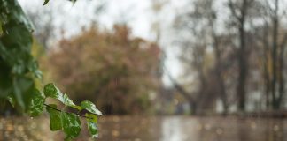 Ploi torențiale în iunie. ANM a anunțat prognoza pentru prima lună de vară proznoza meteo ANM