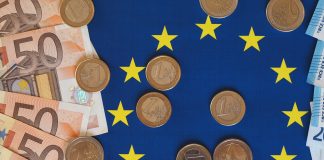 Cetățenii europeni pot vota pentru designul noilor bancnote euro (FOTO) leul