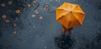 Vremea se înrăutăţeşte în toată ţara. ANM anunță ploi torențiale, vijelii și vânt puternic proznoza meteo ANM