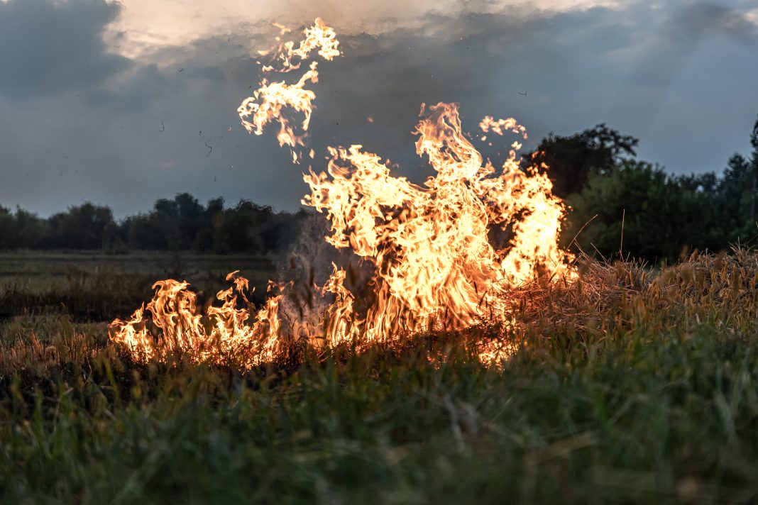 incendiile de vegetație insula Chios