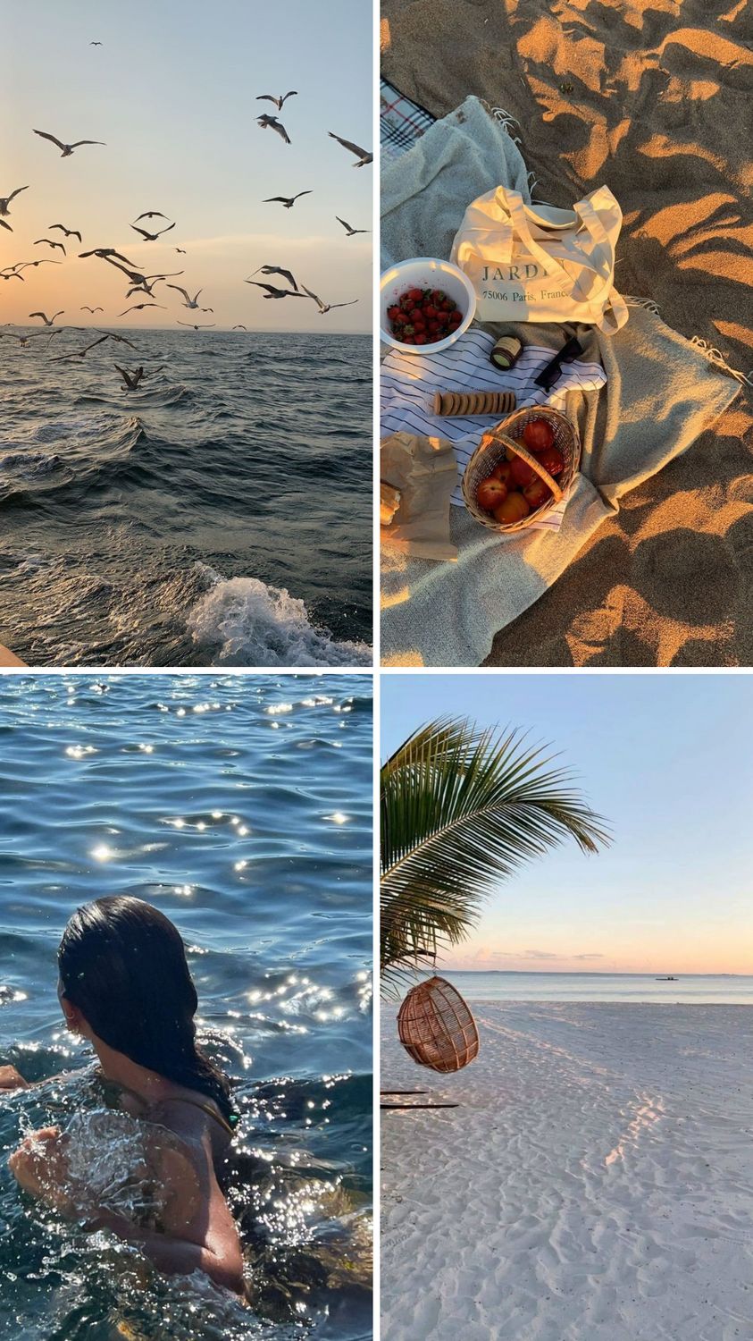 Fotografie