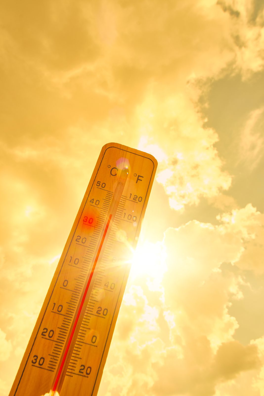 ANM caniculă cod galben