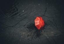 METEO. Cod galben de ploi și vreme instabilă în mai multe zone din țară, vineri și sâmbătă