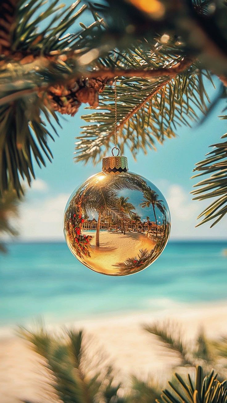 Crăciun și Revelion