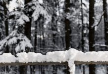 „Cel mai sever episod al acestei ierni” anunțat de ANM. Strat de zăpadă de 50 de cm / Școli și drumuri închise