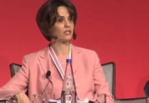 Cine este Delia Velculescu, varianta lui Nicușor Dan ca premier