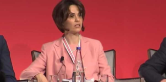 Cine este Delia Velculescu, varianta lui Nicușor Dan ca premier