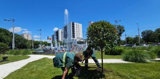 Primăria Sectorului 4 continuă amenajarea spațiilor verzi din București