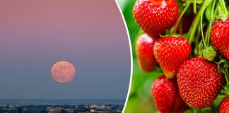 „Luna Căpșună”, pe cerul României. Când poate fi văzută prima Lună plină a verii