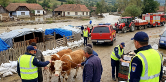 Alertă ANSVSA: Nu consumați aceste alimente sub nicio formă. Risc mare de îmbolnăvire