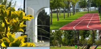 Totul Verde: Parcul Tudor Arghezi, o alegere excelentă pentru weekend