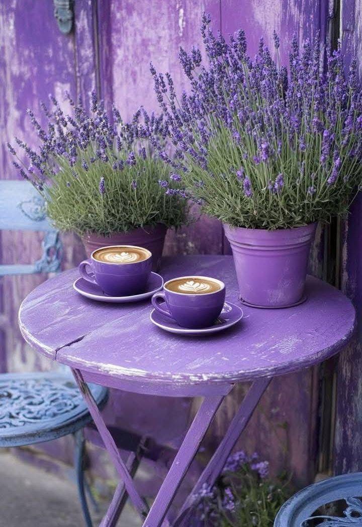 Lavanda
