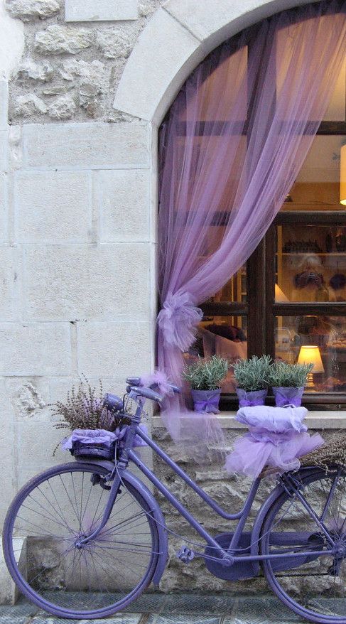 Lavanda