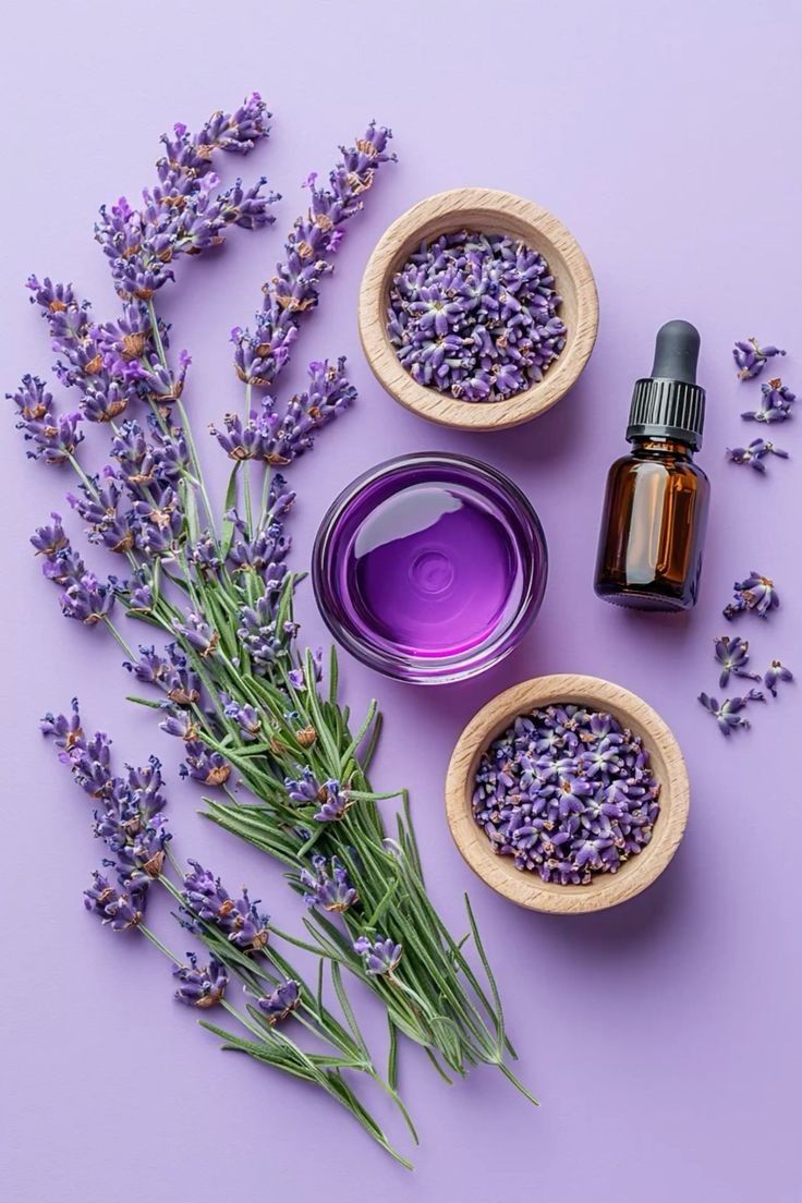 Lavanda