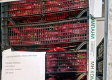 ALERTĂ ANSVSA: Legume de import, vândute ca fiind românești! Depozit din Ilfov închis și 15 tone de marfă confiscate